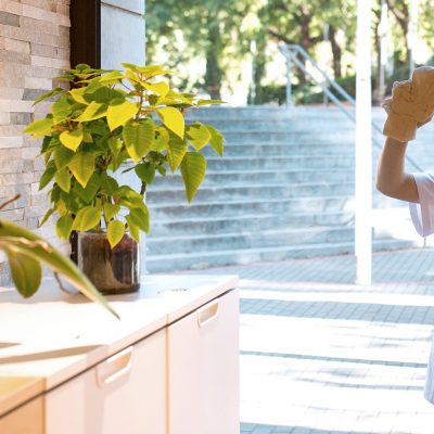 slide-lavado-ventanas-02